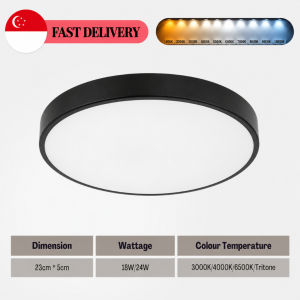 Nordic Minimalist Black White Green LED Surface Mount Ceiling Light – Modern Energy-Efficient Stylish Rocket