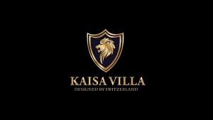 Kaisa Villa whistling kettle stainless steel 2.5L kettle household teapot kettle whistling kettle
