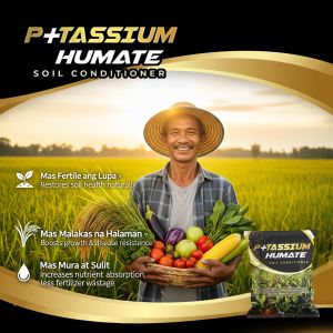 Potassium Humate Organic Soil Conditioner Humic Acid + Fulvic Acid Soil & Fertilizer Conditioner Plant Growth