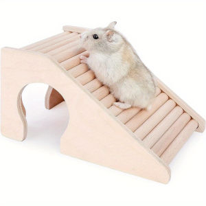 Hamster House Small Pet Climbing Ladder For Hamsters Gerbils Mice Or Similar-Sized Pets