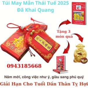 Túi Thái Tuế May Mắn Giải Thái Tuế Năm 2025 Cho Tuổi Dần Thân Tỵ Hợi