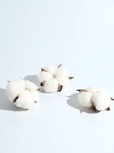 儿童红色内裤男童本命年中大童平角短裤虎年四角裤12纯棉男孩15岁Seluar dalam merah kanak-kanak tahun natal kanak-kanak lelaki budak lelaki besar petinju petinju 12 budak kapas 15 tahun