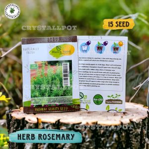 Benih Bibit Herba Rosemary Rosmarinus Haira Seed - HERBA ROSEMARY