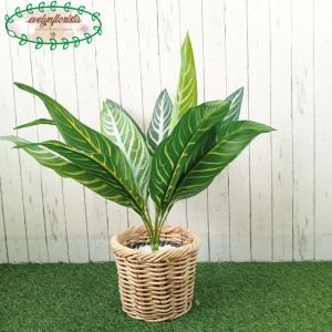 Pohon Hias Daun Aglonema Hijau Strip Pot Dasar Hitam Cover Rotan Bulat Tanaman Artificial Dekorasi Ruangan
