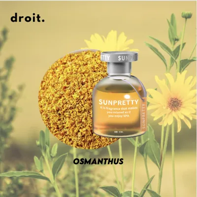 SUNPRETTY 65ML Car Home Freshener + Nova Essence 120ML Aroma Diffuser Oil | Hotel Scent Air Refresher Scent