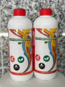 Phân bón Siêu lân đỏ 1 lít - MI-HYDRO-PHOSPHATE MP7 : siêu tạo mầm chuyên gia phân hóa mầm hoa