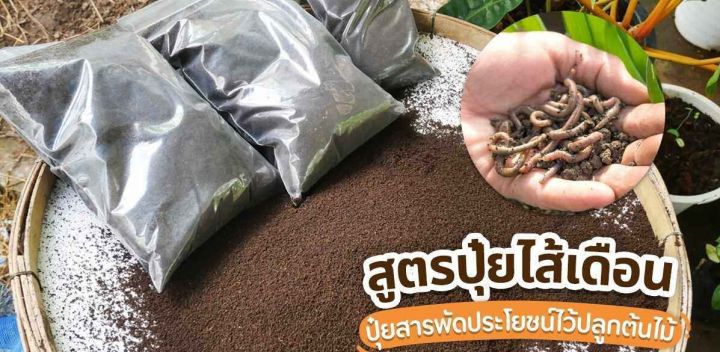 มูลไส้เดือนแท้ 100% เนื้อละเอียด 1kg