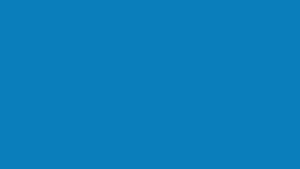 API POND ALGAEFIX (32 fl oz) Pond Algae Control - Copper Free - Clean Clear Water - Up to 9600 Gallons - Safe for Fish & Plants - Water Gardens Fountains - Natural Active Ingredient - EPA-Registered