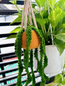 Chậu Cây Cảnh Dây Leo Bằng Bông Trang Trí Nhà Handmade