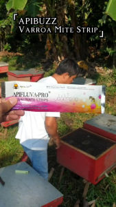 Mite Treatments for Bees - Fluvalinate Strips Apibuzz Apifluva-Pro Small Varroa Mite Strips for Bees - Beekeeping Material | Beehive Mite Control