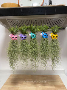 โมบายเคราฤาษีพร้อมแขวน ตุ็กตาเซรามิกรูปสัตว์คละสี สำหรับตกแต่งสวน เคราฤาษี มอสสเปน ไม้ฟอกอากาศกรองฝุ่น ม่านบังแดด เคราฤาษี