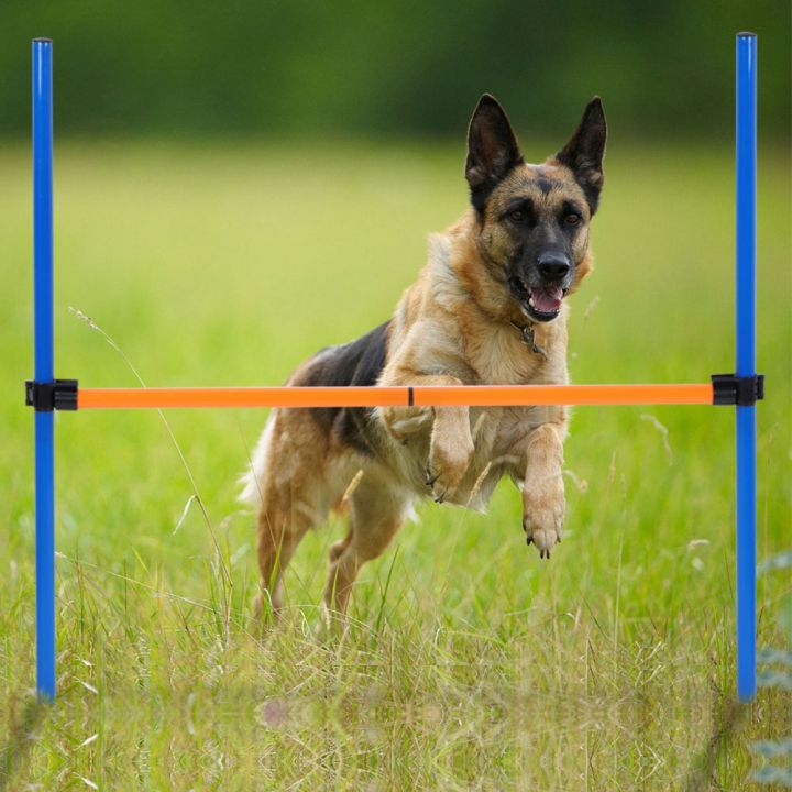Dog Agility Hurdle Detachable Dogs Agility Jump Hurdle Plastic Pet