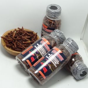 Kemasan botol RED maggot