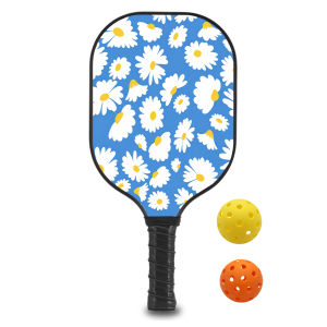 Pickleball Paddles Set with 1 Rackets 2 Pickle Ball 1bag Fiberglass and Graphite Face Non-Slip Grip USAPA Approved ID 60625-1654451039
