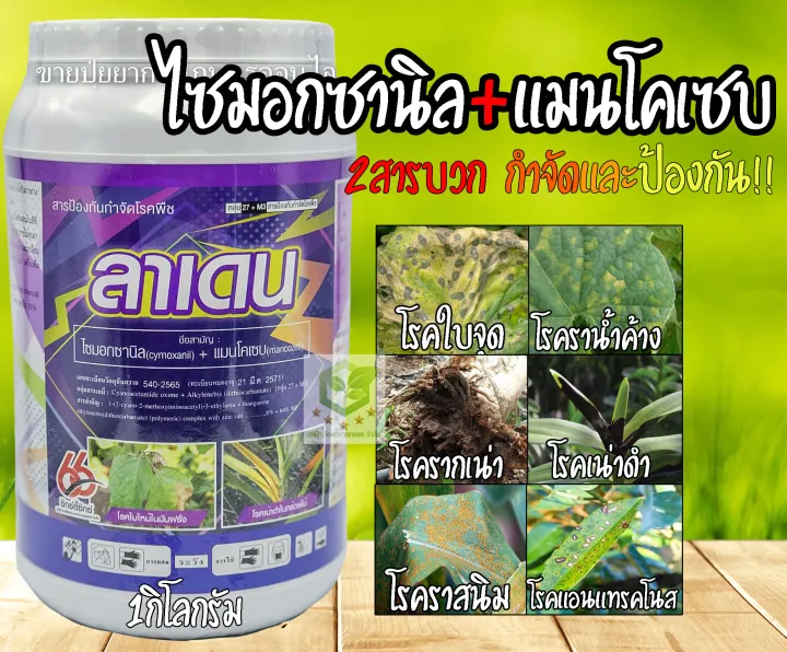 ลาเดน ไซมอกซานิล แมนโคเซบ กำจัดโรคใบจุด ราน้ำค้าง