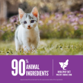 Orijen Cat Dry Food 90% Meat Content Grain Free Kitten Food High Protein for All Breeds Little Cats 1.8kg. 