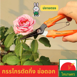 กรรไกรทริม กรรไกรตัดกิ่ง ทริมช่อดอก ตัดแต่งกิ่ง ปลายตรง ปลายแหลม โค้ง