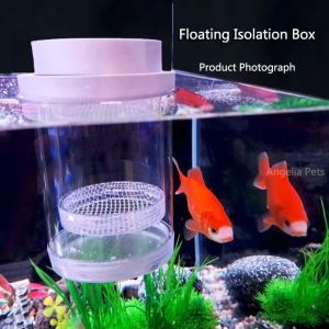 UUMIR Shrimp Guppy Floating Hatching Box Plastic Mesh Transparent Fish Hatchery Incubator Breeder Box Durable Detachable Floating Fish Breeding Isolation Box Fish Tank
