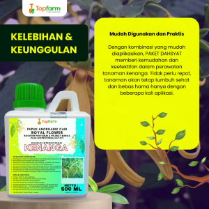 Pupuk Topfarm / Pestisida Topfarm / Pupuk Untuk Bunga Kenanga / Pupuk Bunga Kenanga / Pupuk Dan Obat Hama Bunga Kenanga / Pupuk Khusus Bunga Kenanga / Pupuk Tanaman Bunga Kenanga / Pupuk Kusus Bunga Kenanga