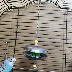 OUTOPEN Chống cắn dây chuyền chuông vẹt Thép không gỉ với Bell Vẹt nhai đồ chơi đu quay Đồ chơi chim xếp hình Hạt cườm nhiều màu Đồ chơi nhai treo Giải trí