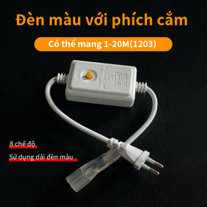 Dây Led Đuổi CHIP 2835 Tặng kèm nguồn chống nước trang trí ngời trời Đèn led quấn cây