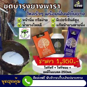 ชุดบำรุงยางพารา โฟร์ทรี 1 ซอง+โฟร์ซอย1ซอง+อะมิโนแบล็คเล็ก 250ml 1 ขวด ชุดเร่งราก โตเร็ว เขียวนาน เพิ่ม%น้ำยาง ป้องกันโรคป้องกันเชื้อรา ของแท้ 100%