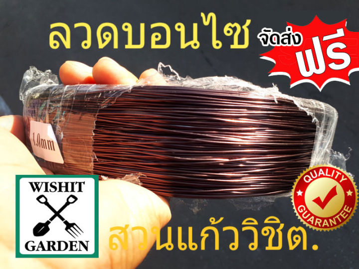 ลวดดัดบอนไซ เบอร์ 8 น้ำหนัก 1 กิโลกรัม