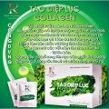 Tảo Diệp Lục Collagen KYO - Mẫu Mới Nhất Có Tem Cào Phiếu Bảo Hành. 