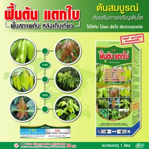 ฟื้นต้น ป้องกันต้นโทรม เร่งแตกใบ แตกกิ่ง แตกยอด ฟื้นฟูต้นหลังเก็บเกี่ยว ฮอร์โมนพืช อาหารเสริมพืช ปุ๋ยยา 1 ลิตร