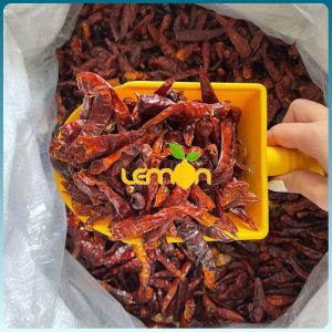 [COMBO] Ớt khô nguyên trái không cuống - Ớt trái khô cay nấu lẩu Tứ Xuyên trộn khô gà khô bò làm sa tế bột ớt