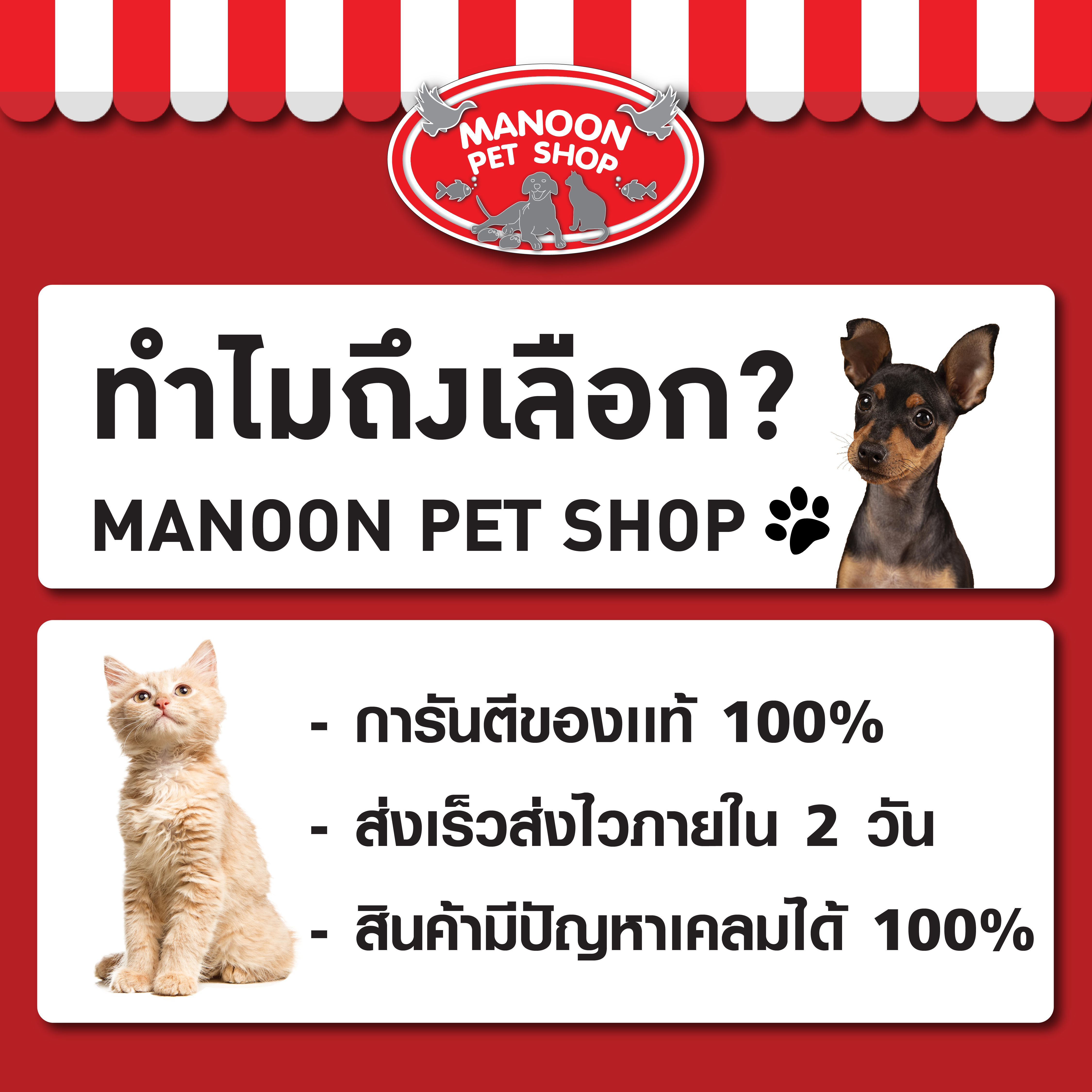 อาหารแมวแบบแห้ง [MANOON] ME-O Gold Persian 7 KG. มีโอ อาหารสำหรับแมวสายพันธุ์เปอร์เซียร์ ขนาด 7 กิโลกรัม