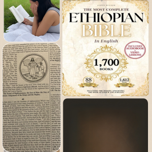 The Lost Book Of Superfoods The Lost Book Of Herbal Remedies Holistic Guide To Wellnessself Help English Book English Physical Book 埃塞俄比亚圣经