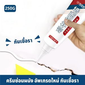 ybl ครีมซ่อมผนัง ครีมฉาบผนัง ซ่อมรอยรั่ว ซ่อมรอยแตก อุดรอยรั่ว อุดรอยร้าว กาวปูนครีมลบรอยร้าว ขนาด 250g Wall Repair