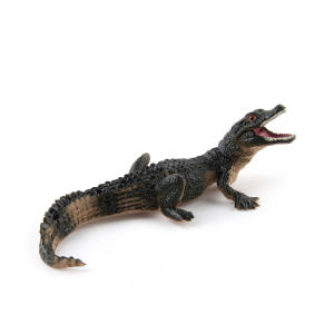 Plastic Children Wild Life Model Creatures Crocodile Model Simulation Animals Toys Educational Toys Crocodile Action Figures