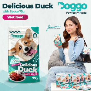 Doggo Delicious Duck Wet Food (75g) (Baby Pouch)
