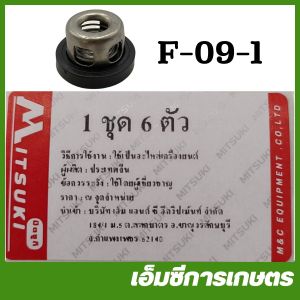 F-09 วาล์ว เหล็ก ปั๊มพ่นยา 3 สูบ ***เช็คขนาดก่อนสั่งซื้อ***