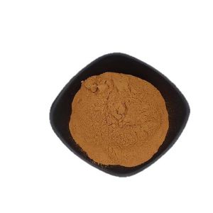 Lygodium Japonicum Extract various specifications available upon inquiry food grade raw material water-soluble plant extract powder free shipping for 1kg