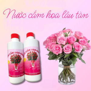 Nước cắm hoa 500ml giữ hoa tươi lâu kích hoa nở đều khử thối gốc ngăn vi khuẩn dùng mọi loại hoa