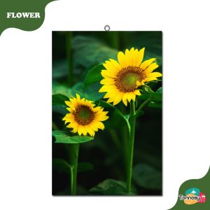 TENNESY HIASAN DINDING SUN FLOWER 20x30CM WALL DECOR PAJANGAN KAYU POSTER DEKORASI DINDING KAMAR TIDUR RUMAH BUNGA MATAHARI