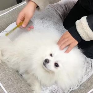 Fenice Stainless Steel Brushes Grooming Comb Aluminum Handle Cleaning Hair Comb for Dogs/Cats Pets Accessories