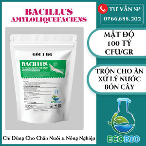 Gói 1 Kg Vi Sinh Bacillus Amyloliquefaciens 100 Tỷ CFU/gr Dùng Cho Chăn Nuôi Và Nông Nghiệp