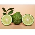 Rempah Ratus Mak Siti Daun Limau Purut dalam botol Kaffir Lime Leaves in a Bottle. 