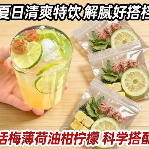 话梅油柑薄荷茶解腻正品独立20克四角包养生茶现货批发一件代发