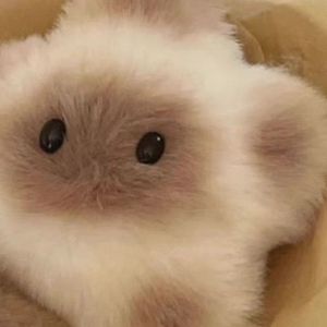 B03 พวงกุญแจคาปิบาร่า น่ารัก Capybara ตุ๊กตาจี้กระเป๋า บีบแล้วมีเสียงปิ้บๆ พร้อมส่ง