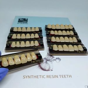 YP/SYNTHETIC DEPAN ATAS WARNA A4 GIGI SYNTHETIC RESIN TEET