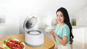 Nồi Cơm Điện Tử Livotec LRC-E8218 – Lòng Niêu Gang Ceramic Giữ Cơm Ngon 48H 9 Chế Độ Nấu Thông Minh