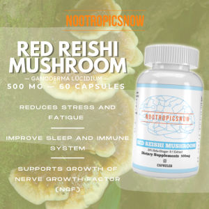 Red Reishi Mushroom 500 mg 8:1 (60 capsules 60 servings) Nootropic Brain Booster Anti anxiety Stress Sleep Support Organic Natural Mushroom Supplement Pure Adaptogen Energy Sleep Immunity Protection Anti Aging Ganoderma lucidum Lingzhi