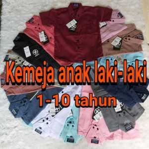 Kemeja anak Laki-laki usia 1 Tahun sampai 13 Tahun Baju hem anak lengan panjang polos terbaru 2023