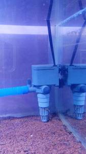 Pompa Air Aquarium Yamano SP 1200 Untuk Aquascape Atau Akuarium Sedang Dan Besar Aksesoris Power Head Penjernih Air Penyedot Kotoran Tanpa Kuras Sirkulasi Produk Original Murah