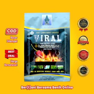 BENIH CABE RAWIT MERAH - VIRAL - 10 gram - Rawit Putih - Rawit Setan sigantung carika dewata